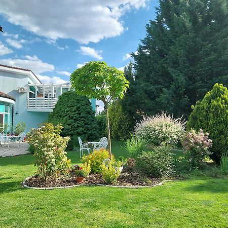 Cozy Rooms In Wine Town - Modra Exterior photo