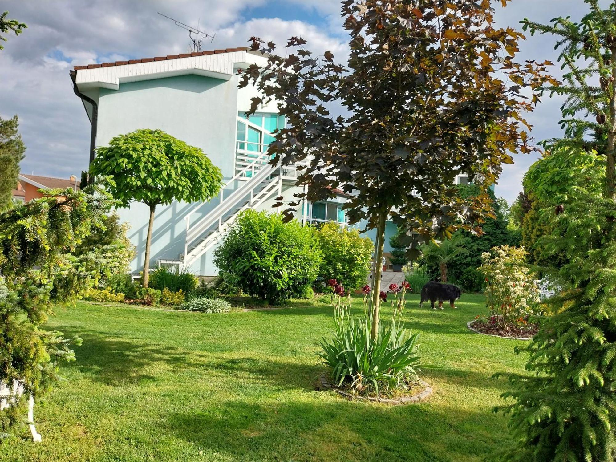 Cozy Rooms In Wine Town - Modra Exterior photo